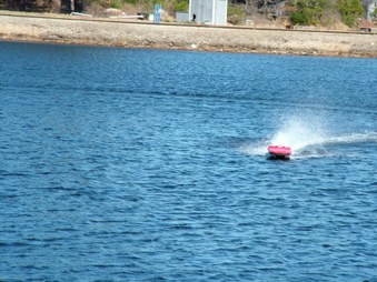 Enlarge photo 44