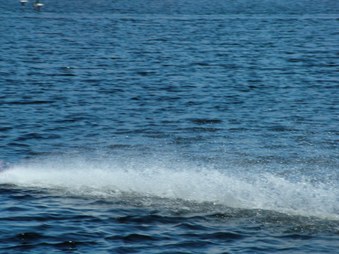Enlarge photo 60