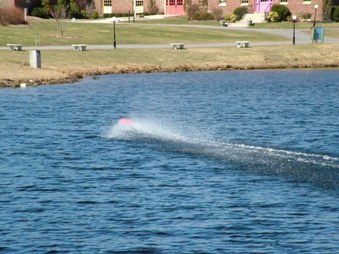 Enlarge photo 62