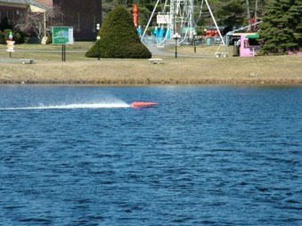 Enlarge photo 65