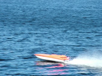 Enlarge photo 77