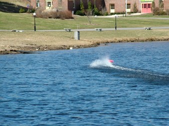 Enlarge photo 80