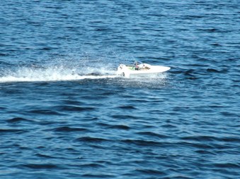 Enlarge photo 124