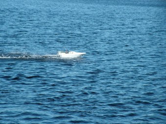 Enlarge photo 126