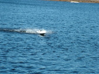 Enlarge photo 128