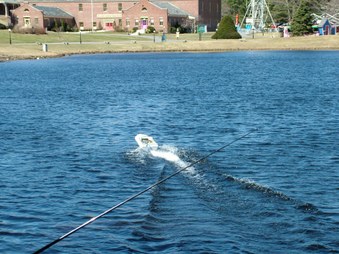 Enlarge photo 151