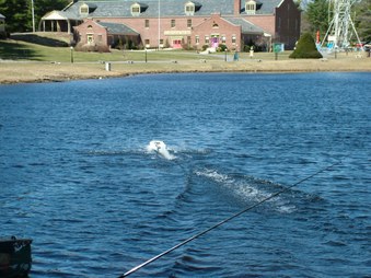 Enlarge photo 153