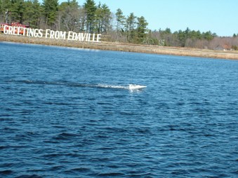 Enlarge photo 158
