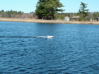 Enlarge photo 159