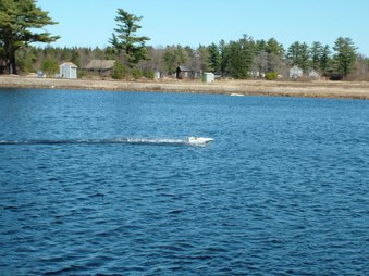 Enlarge photo 160