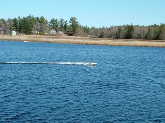 Enlarge photo 161