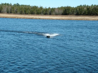 Enlarge photo 163