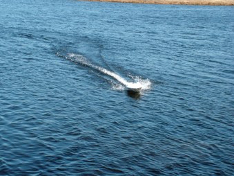Enlarge photo 165