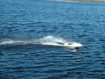 Enlarge photo 171