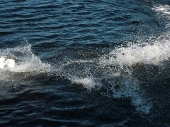 Enlarge photo 173