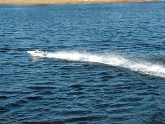 Enlarge photo 175