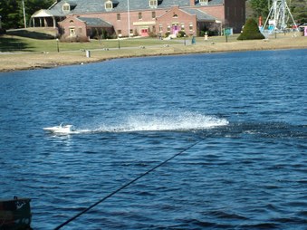 Enlarge photo 176