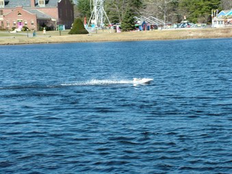 Enlarge photo 178