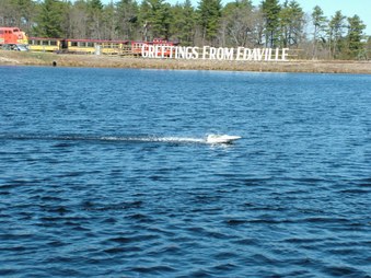 Enlarge photo 181