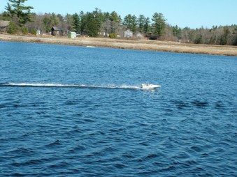 Enlarge photo 184