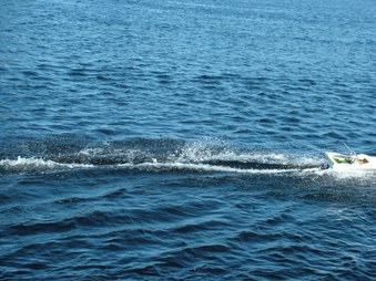 Enlarge photo 188