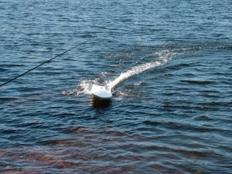 Enlarge photo 194