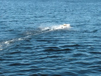 Enlarge photo 197