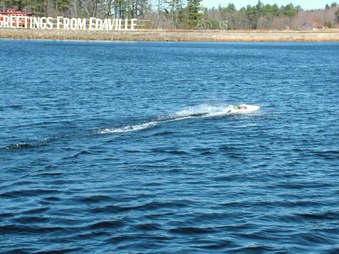 Enlarge photo 198