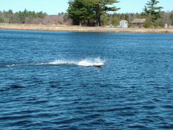 Enlarge photo 199