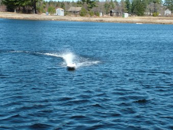 Enlarge photo 200