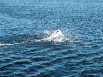 Enlarge photo 207