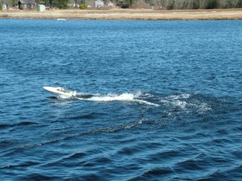 Enlarge photo 208