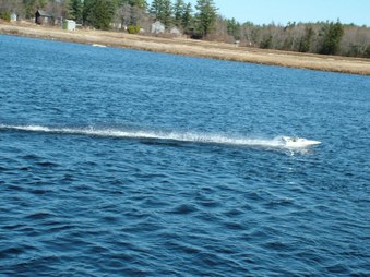 Enlarge photo 215