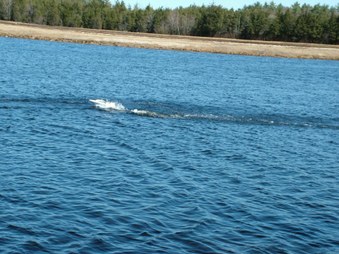 Enlarge photo 217