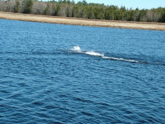 Enlarge photo 218