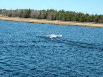 Enlarge photo 219