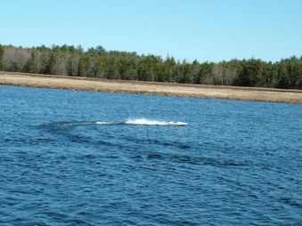 Enlarge photo 220