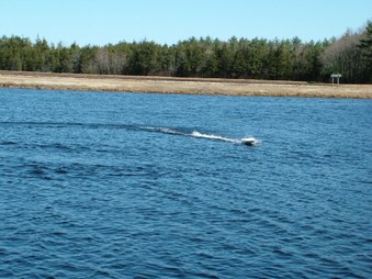 Enlarge photo 222