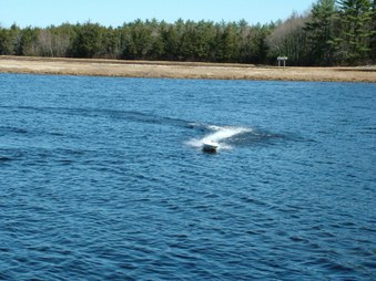 Enlarge photo 223