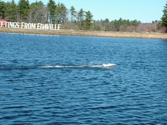 Enlarge photo 229