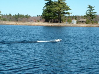 Enlarge photo 230