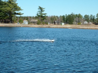 Enlarge photo 231