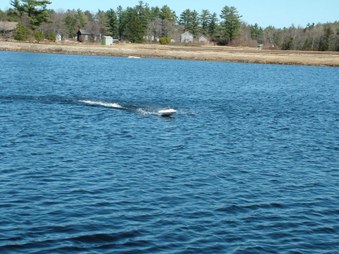 Enlarge photo 232