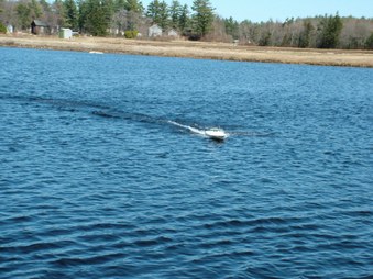 Enlarge photo 233