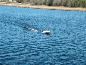 Enlarge photo 234