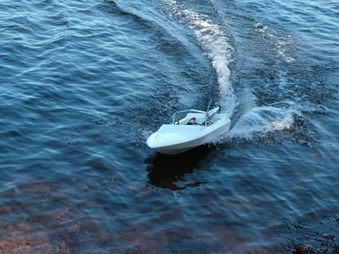 Enlarge photo 237