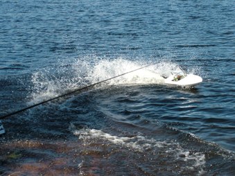 Enlarge photo 241