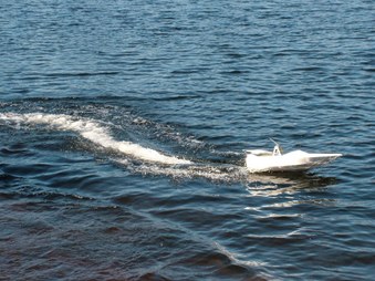 Enlarge photo 242