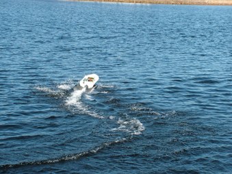 Enlarge photo 244