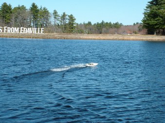 Enlarge photo 247